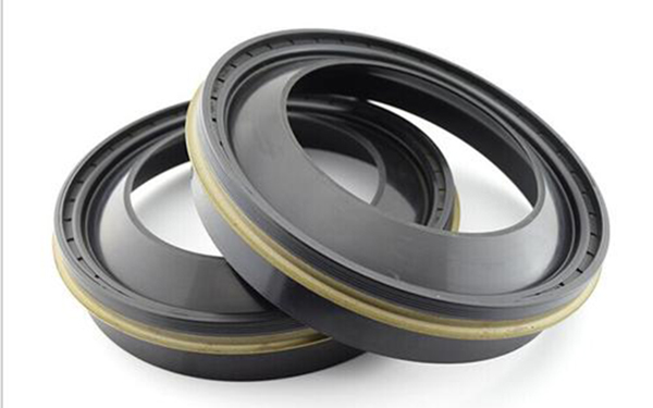 oil seal (1)